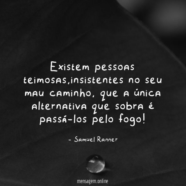 Existem pessoas teimosas