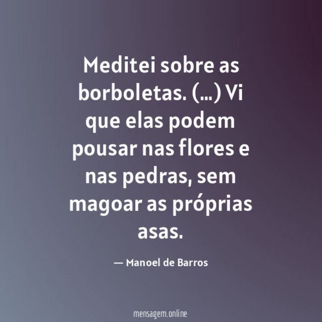 Meditei sobre as borboletas