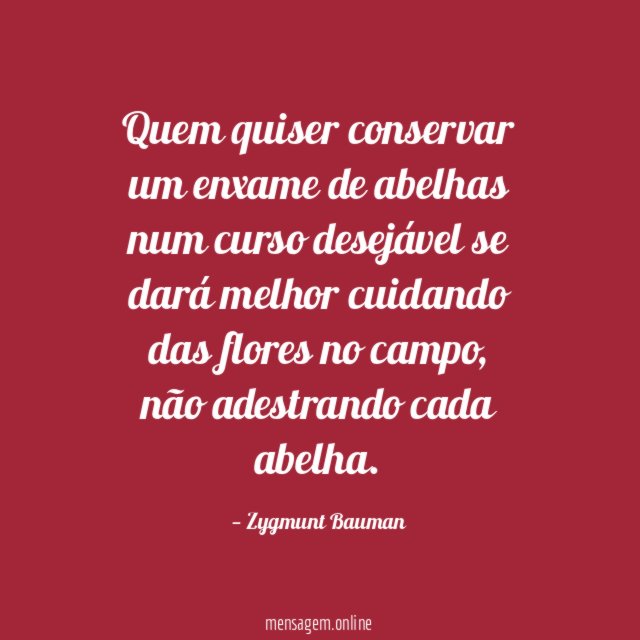 Quem quiser conservar um enxame de abelhas num