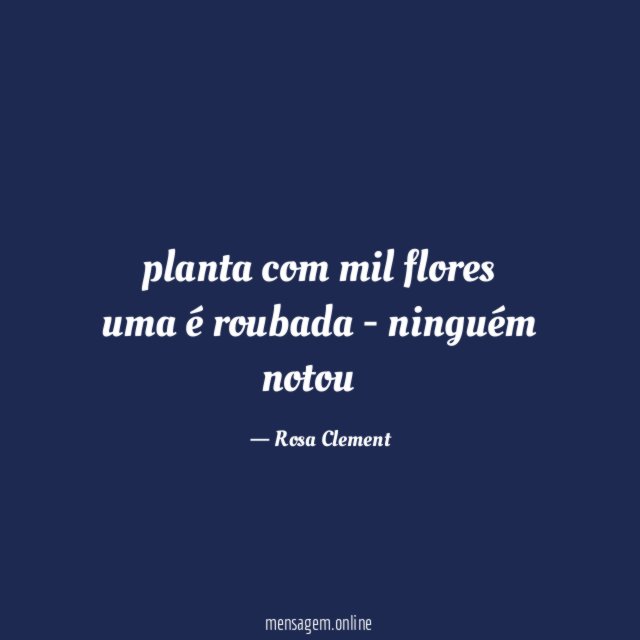 planta com mil flores uma é roubada - ninguém notou
