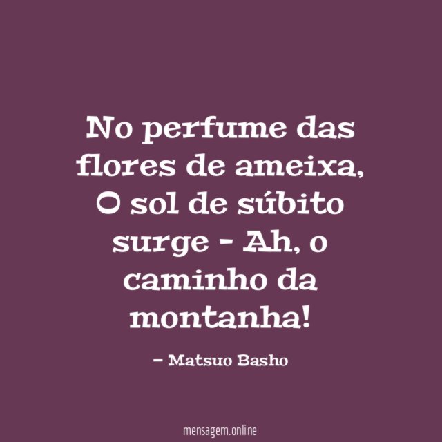 No perfume das flores de ameixa