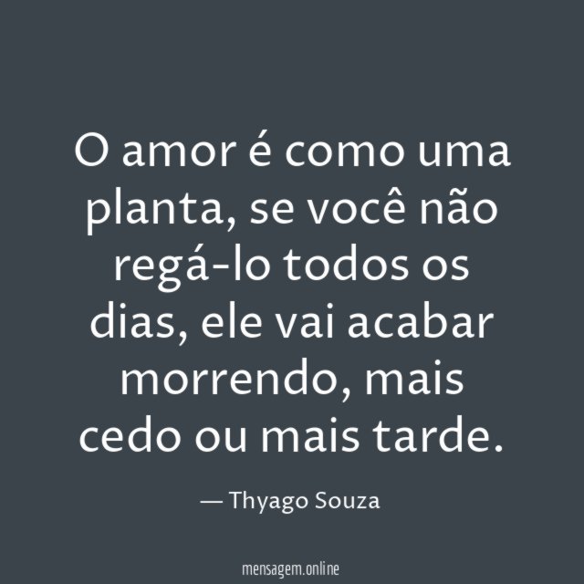 O amor é como uma planta