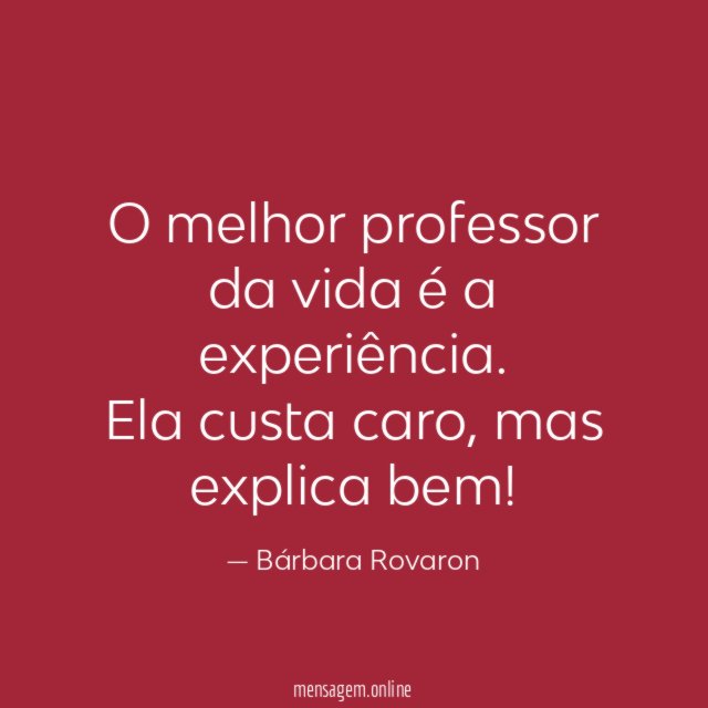 O melhor professor da vida é a experiência
