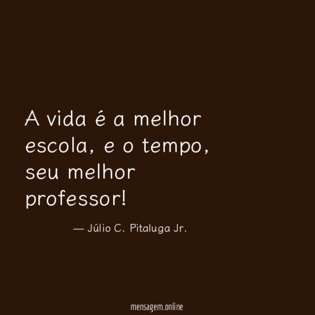 A vida é a melhor escola