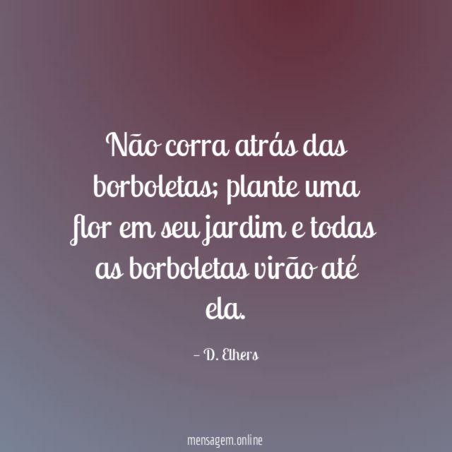Não corra atrás das borboletas