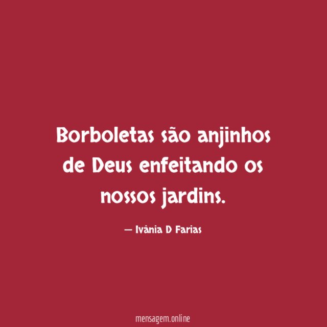 Borboletas são anjinhos de Deus enfeitando os nossos jardins
