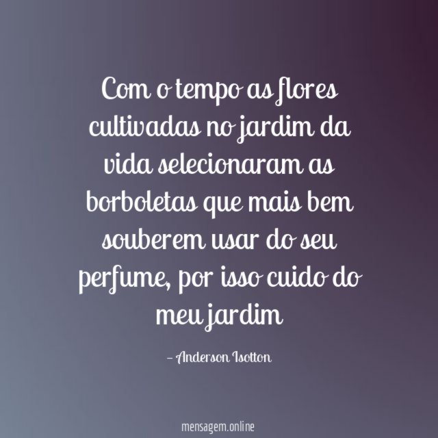 Com o tempo as flores cultivadas no jardim