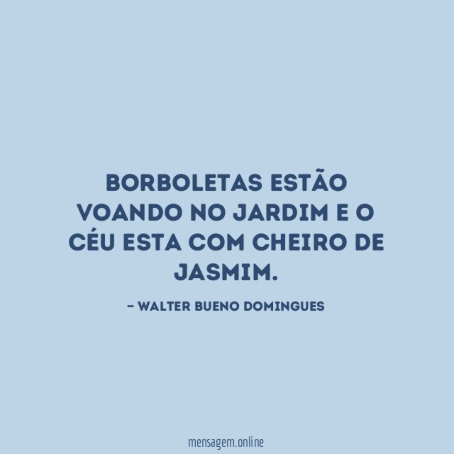 Borboletas estão voando no jardim e o céu