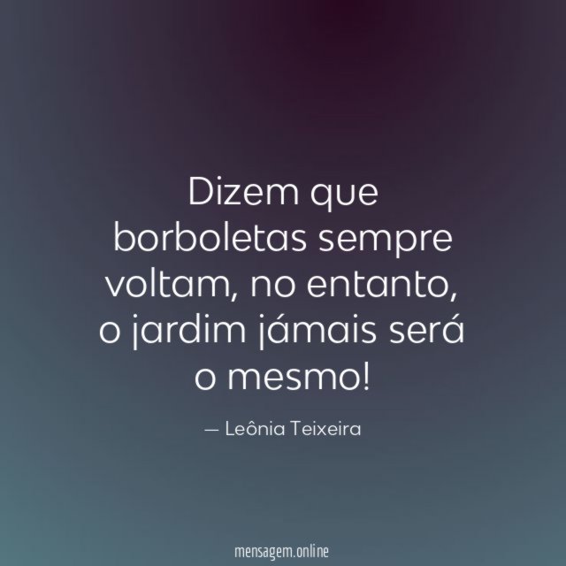 Dizem que borboletas sempre voltam