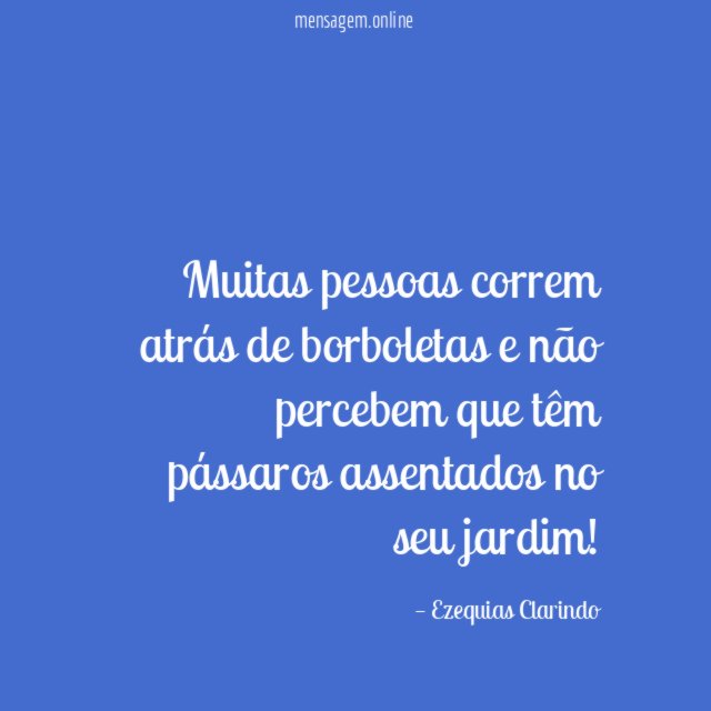 Muitas pessoas correm atrás de borboletas e não