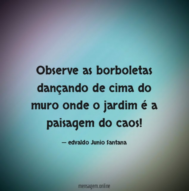 Observe as borboletas dançando de cima do muro