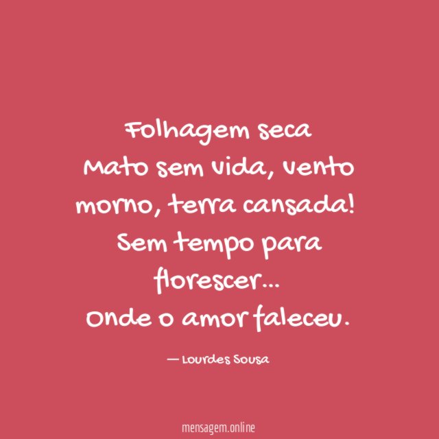 Folhagem seca Mato sem vida