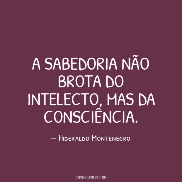 A sabedoria não brota do intelecto