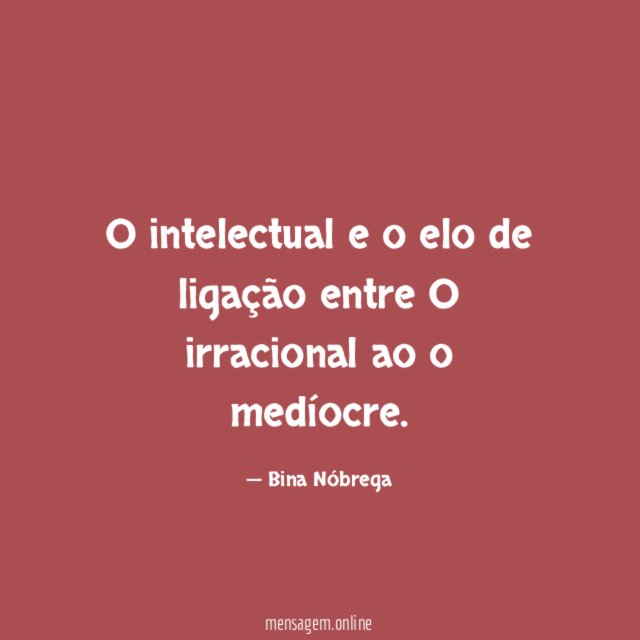 O intelectual e o elo de ligação entre