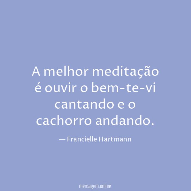 A melhor meditação é ouvir o bem-te-vi cantando e o cachorro andando