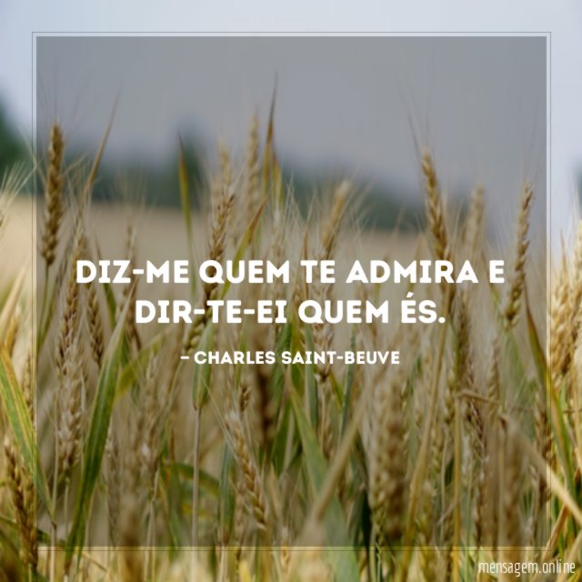 Diz-me quem te admira e dir-te-ei quem és