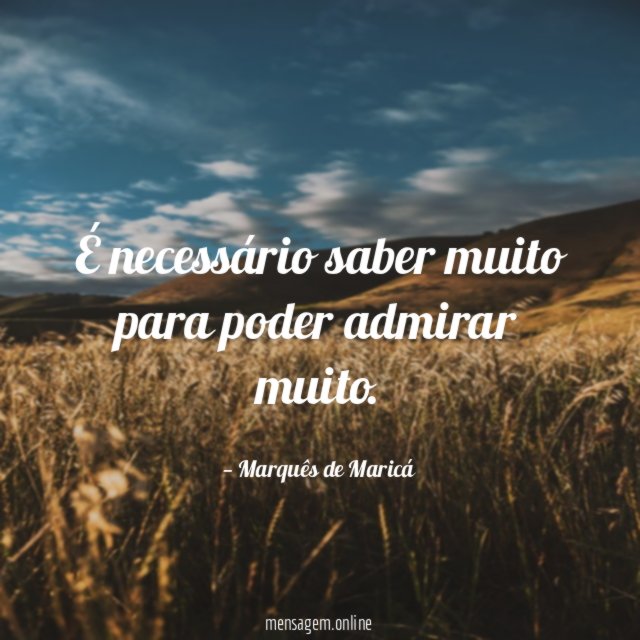 É necessário saber muito para poder admirar muito
