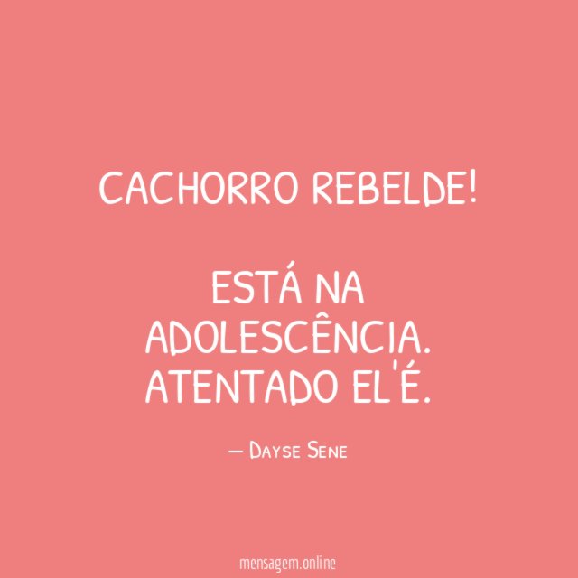 Cachorro rebelde