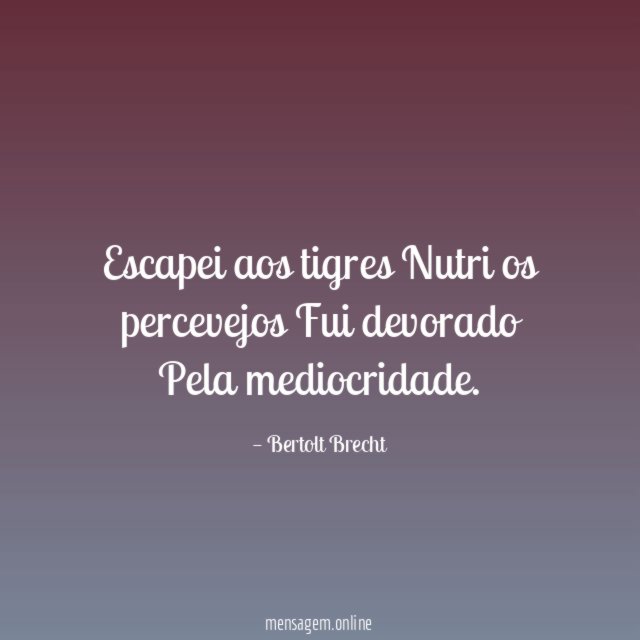 Escapei aos tigres Nutri os percevejos Fui devorado Pela mediocridade