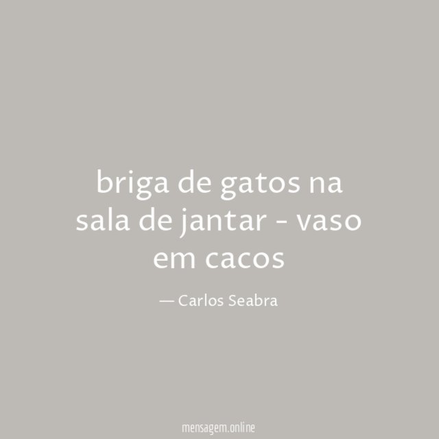 briga de gatos na sala de jantar - vaso em cacos