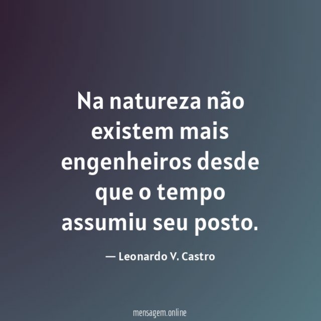 Na natureza não existem mais engenheiros desde que