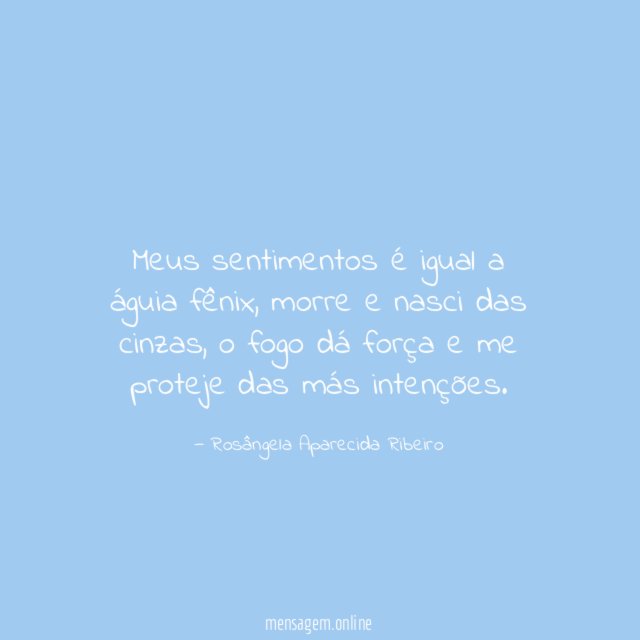 Meus sentimentos é igual a águia fênix