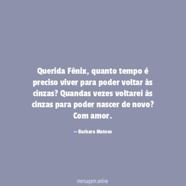 Querida Fênix