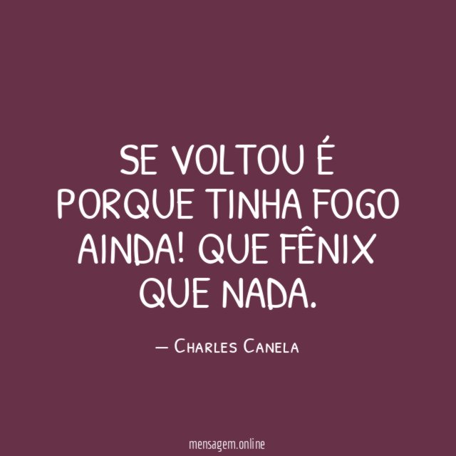 Se voltou é porque tinha fogo ainda
