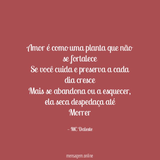 Amor é como uma planta que não se