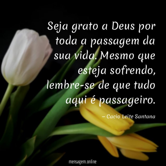 Seja grato a Deus por toda a passagem da sua vida