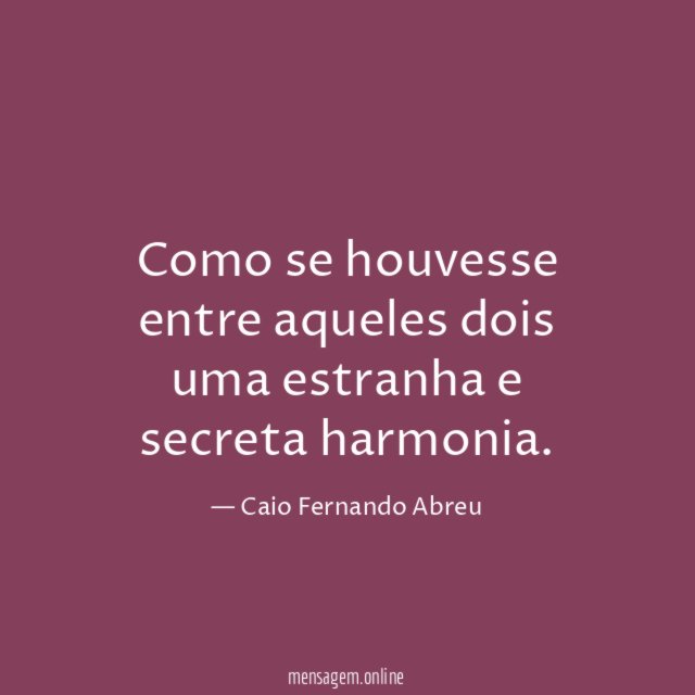 Como se houvesse entre aqueles dois uma estranha e secreta harmonia