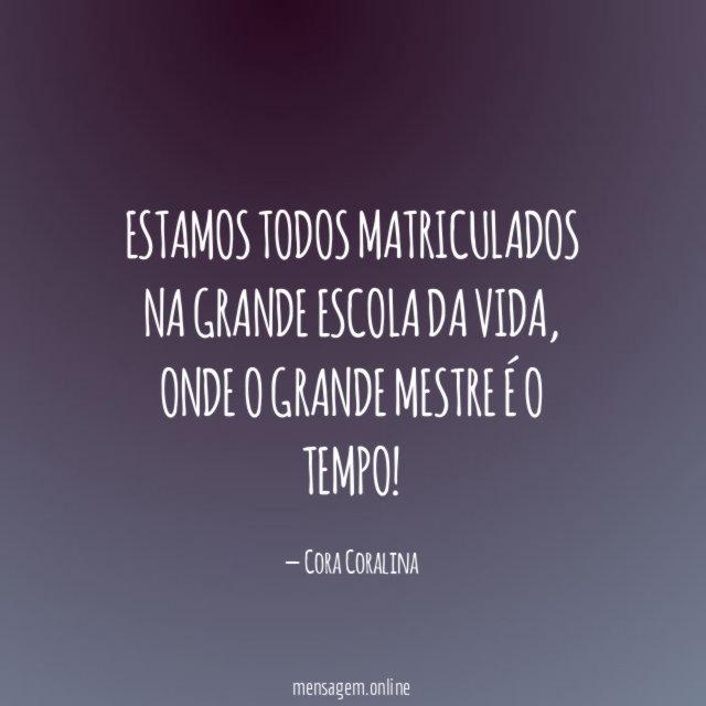 Estamos todos matriculados na grande escola da vida