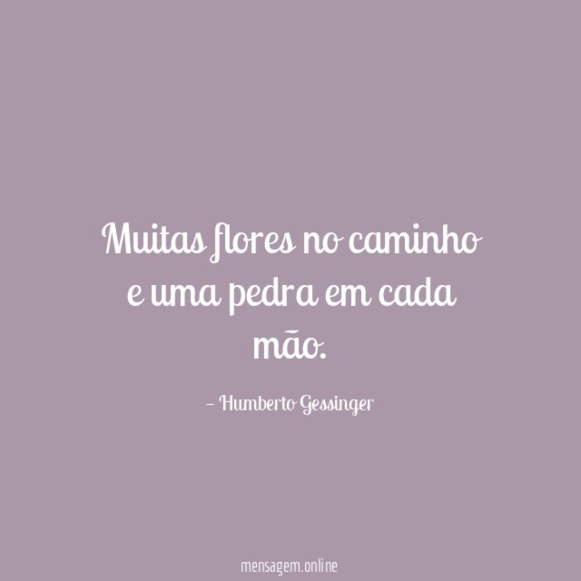 Muitas flores no caminho e uma pedra em cada mão
