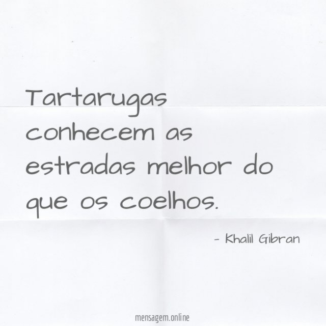 Tartarugas conhecem as estradas melhor do que os coelhos