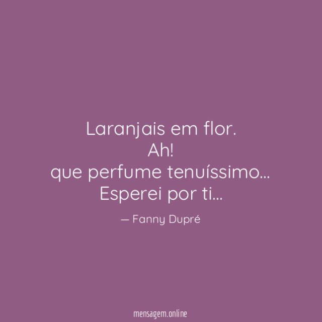 Laranjais em flor