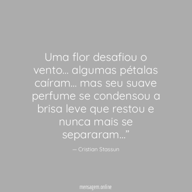 Uma flor desafiou o vento