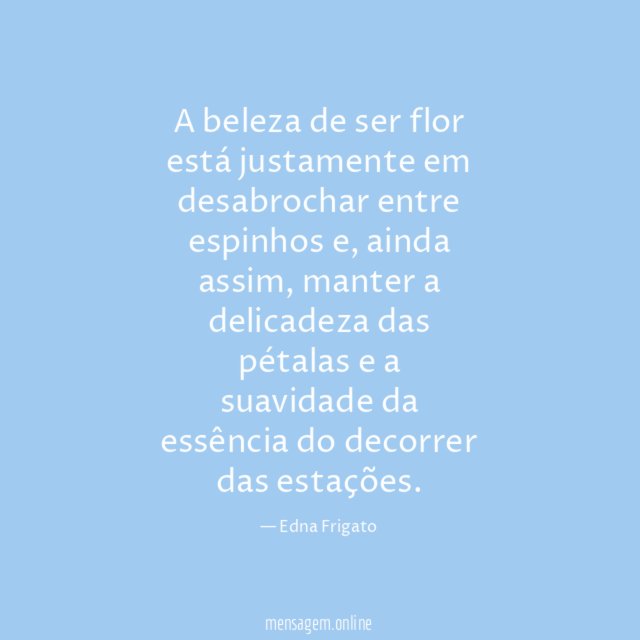 A beleza de ser flor está justamente em desabrochar entre espinhos
