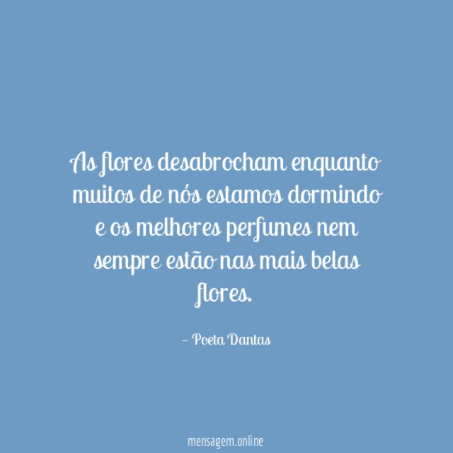As flores desabrocham enquanto muitos de nós estamos