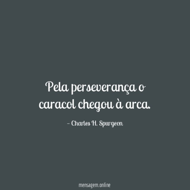 Pela perseverança o caracol chegou à arca
