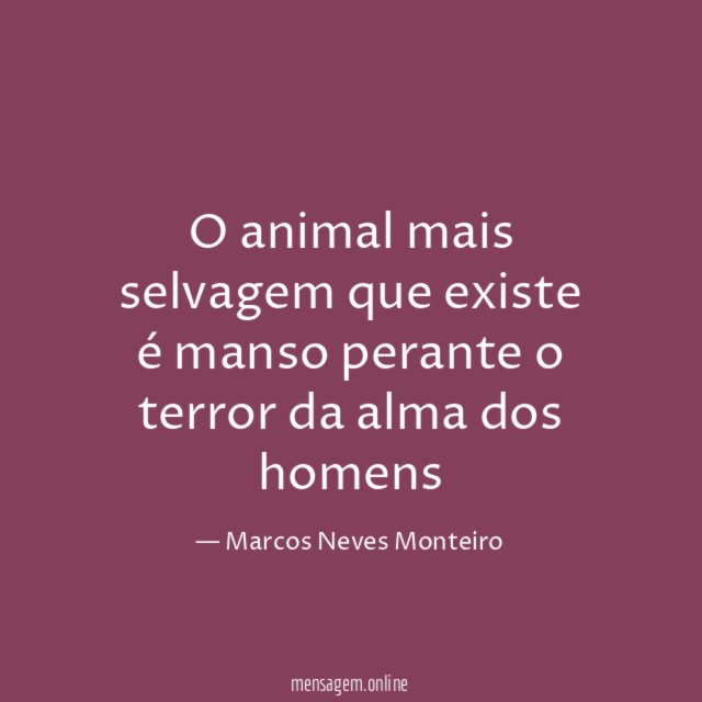 O animal mais selvagem que existe é manso