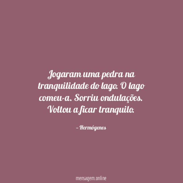 Jogaram uma pedra na tranquilidade do lago
