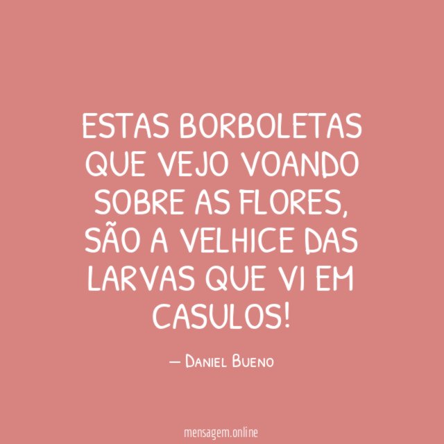 Estas borboletas que vejo voando sobre as flores