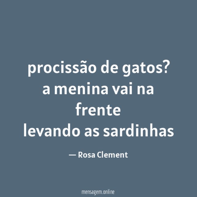 procissão de gatos