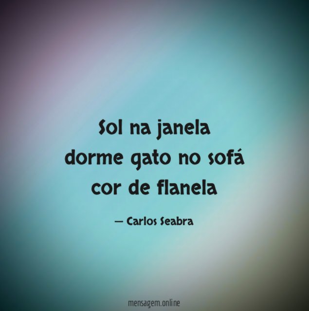 sol na janela dorme gato no sofá cor de flanela