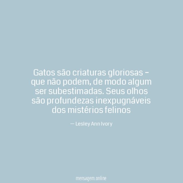 Gatos são criaturas gloriosas – que não podem