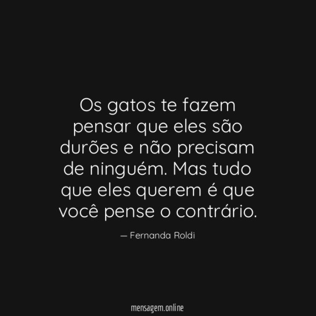 Os gatos te fazem pensar que eles são