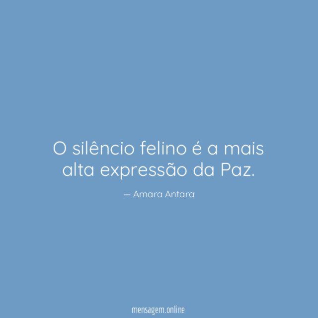 O silêncio felino é a mais alta expressão da Paz