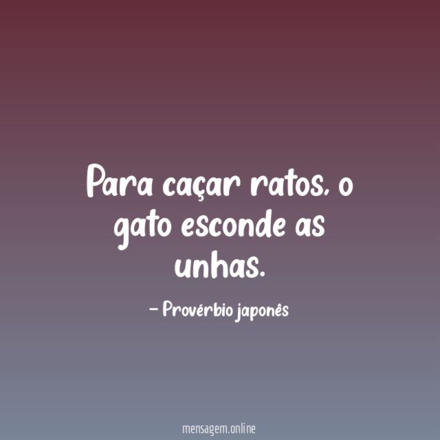 Para caçar ratos