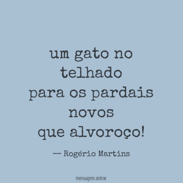 um gato no telhado para os pardais novos que alvoroço
