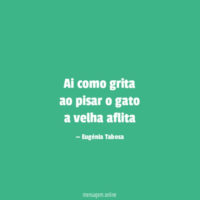 Ai como grita ao pisar o gato a velha aflita